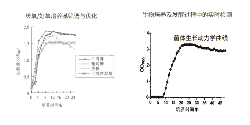 过程安全，结果精准