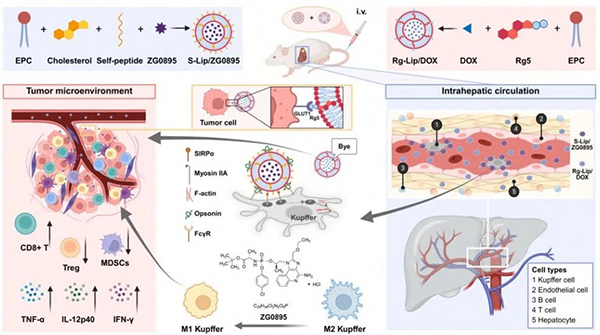 微信图片_2026-01-22_133655_418