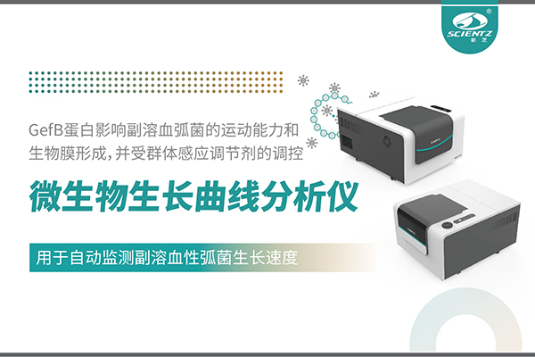 论文分享｜基于MGC系列揭示环境镁离子对副溶血性弧菌毒力与生物膜形成的全局调控