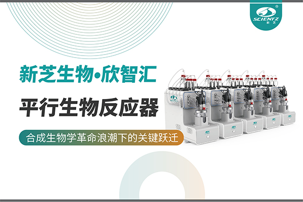 培养菌株和评估工艺参数影响太难太慢？平行生物反应器提供关键解决方案！