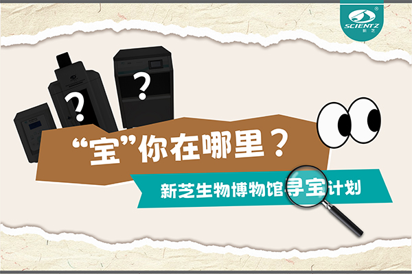 “宝”你在哪里？—— yl8cc永利官网生物博物馆寻宝计划